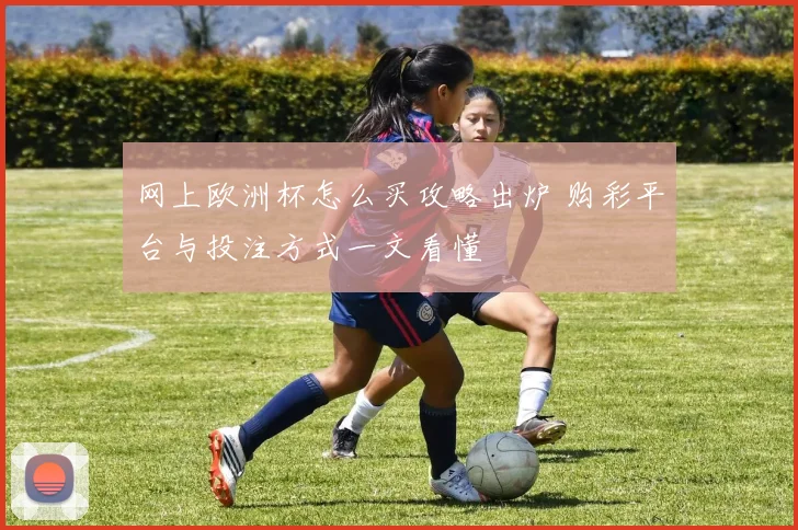 网上欧洲杯怎么买攻略出炉 购彩平台与投注方式一文看懂