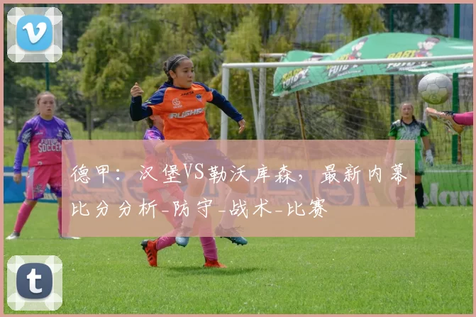 德甲：汉堡VS勒沃库森，最新内幕比分分析_防守_战术_比赛
